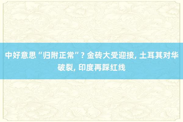 中好意思“归附正常”? 金砖大受迎接, 土耳其对华破裂, 印度再踩红线