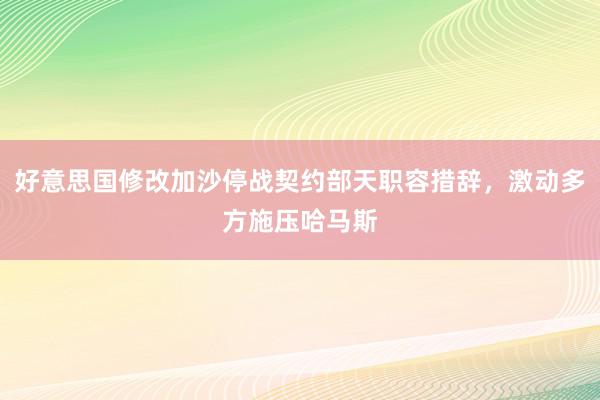 好意思国修改加沙停战契约部天职容措辞，激动多方施压哈马斯