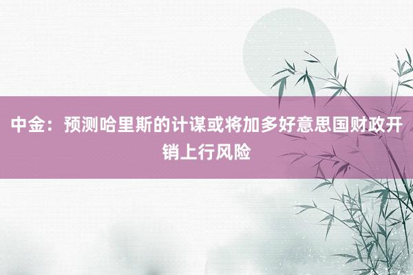 中金：预测哈里斯的计谋或将加多好意思国财政开销上行风险