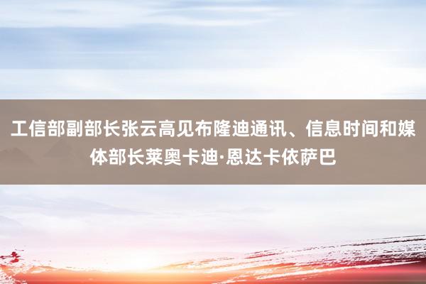 工信部副部长张云高见布隆迪通讯、信息时间和媒体部长莱奥卡迪·恩达卡依萨巴