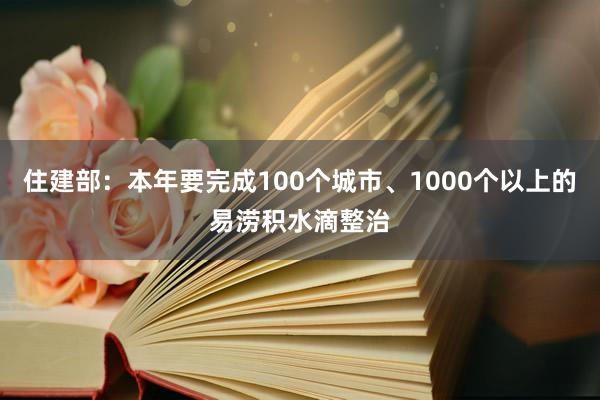 住建部：本年要完成100个城市、1000个以上的易涝积水滴整治