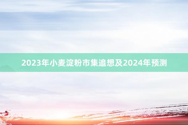 2023年小麦淀粉市集追想及2024年预测