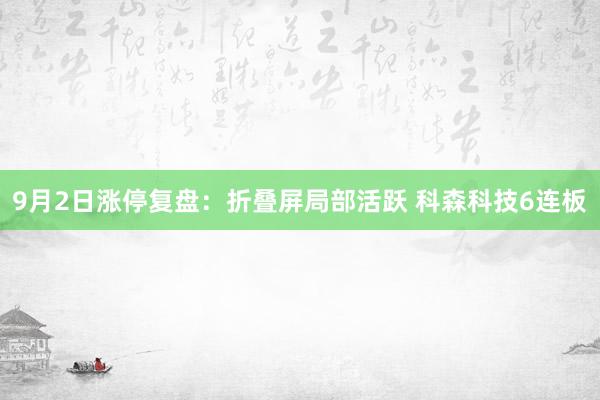 9月2日涨停复盘：折叠屏局部活跃 科森科技6连板