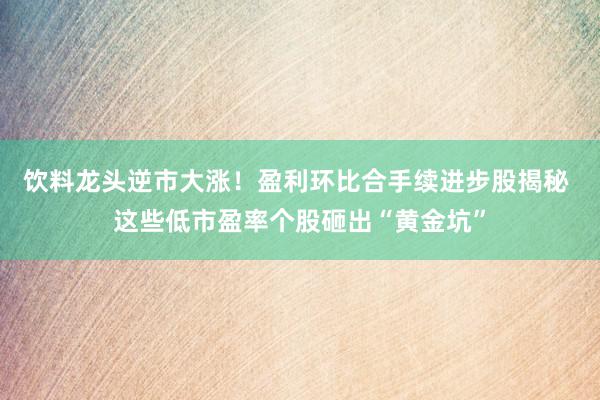 饮料龙头逆市大涨！盈利环比合手续进步股揭秘 这些低市盈率个股砸出“黄金坑”