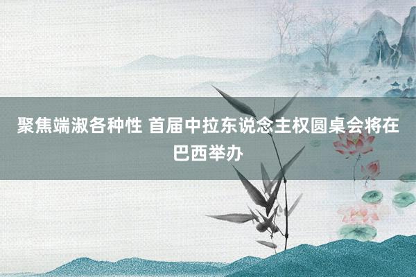 聚焦端淑各种性 首届中拉东说念主权圆桌会将在巴西举办