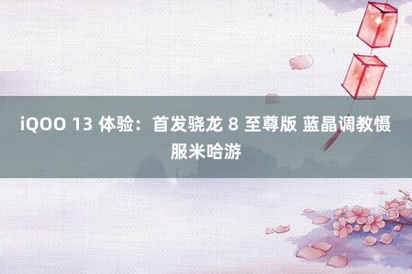 iQOO 13 体验：首发骁龙 8 至尊版 蓝晶调教慑服米哈游