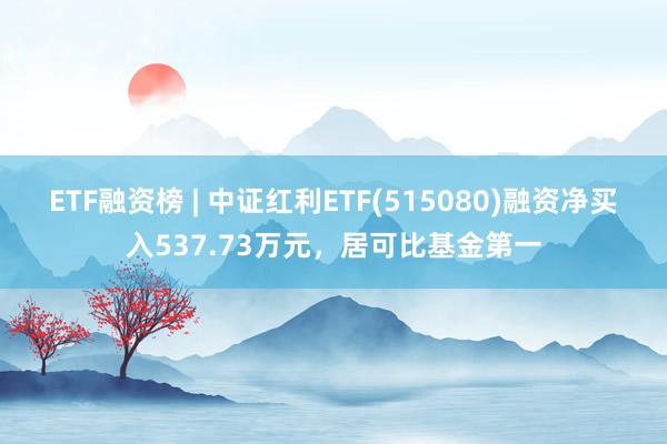 ETF融资榜 | 中证红利ETF(515080)融资净买入537.73万元，居可比基金第一