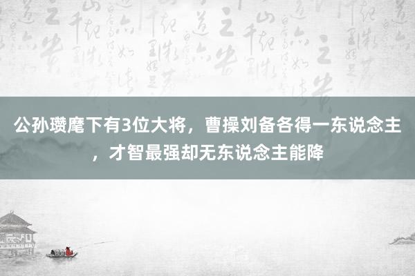 公孙瓒麾下有3位大将，曹操刘备各得一东说念主，才智最强却无东说念主能降